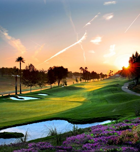 Tommy Bahama Miramonte Resort & Spa