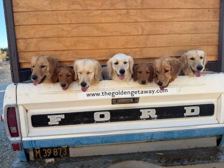 Tommy Bahama Miramonte Resort & Spa