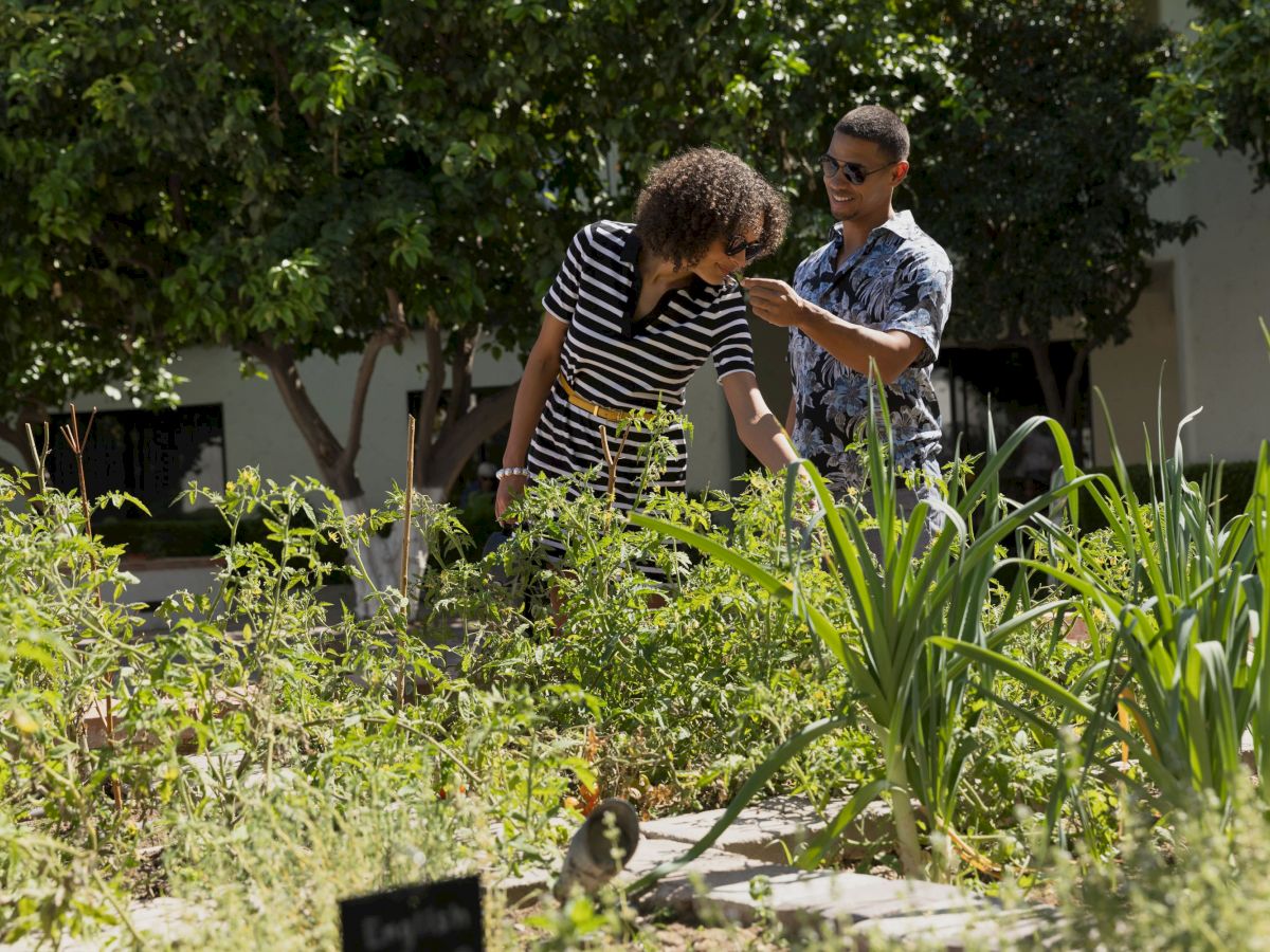 Tommy Bahama Miramonte Resort & Spa