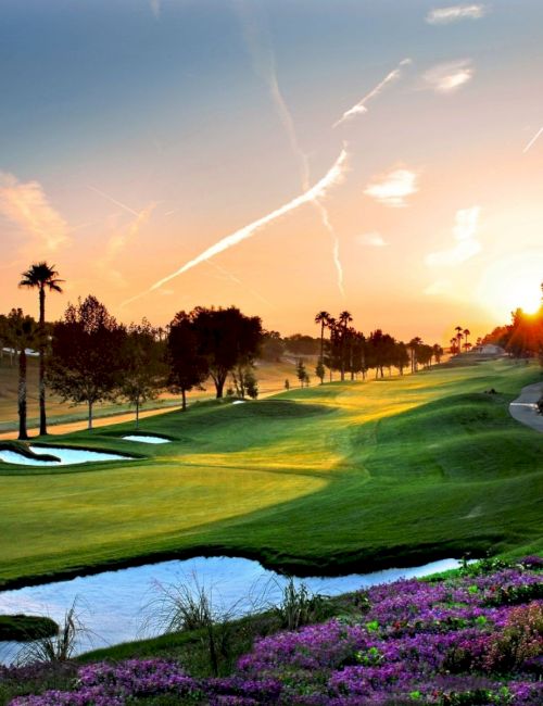 Tommy Bahama Miramonte Resort & Spa