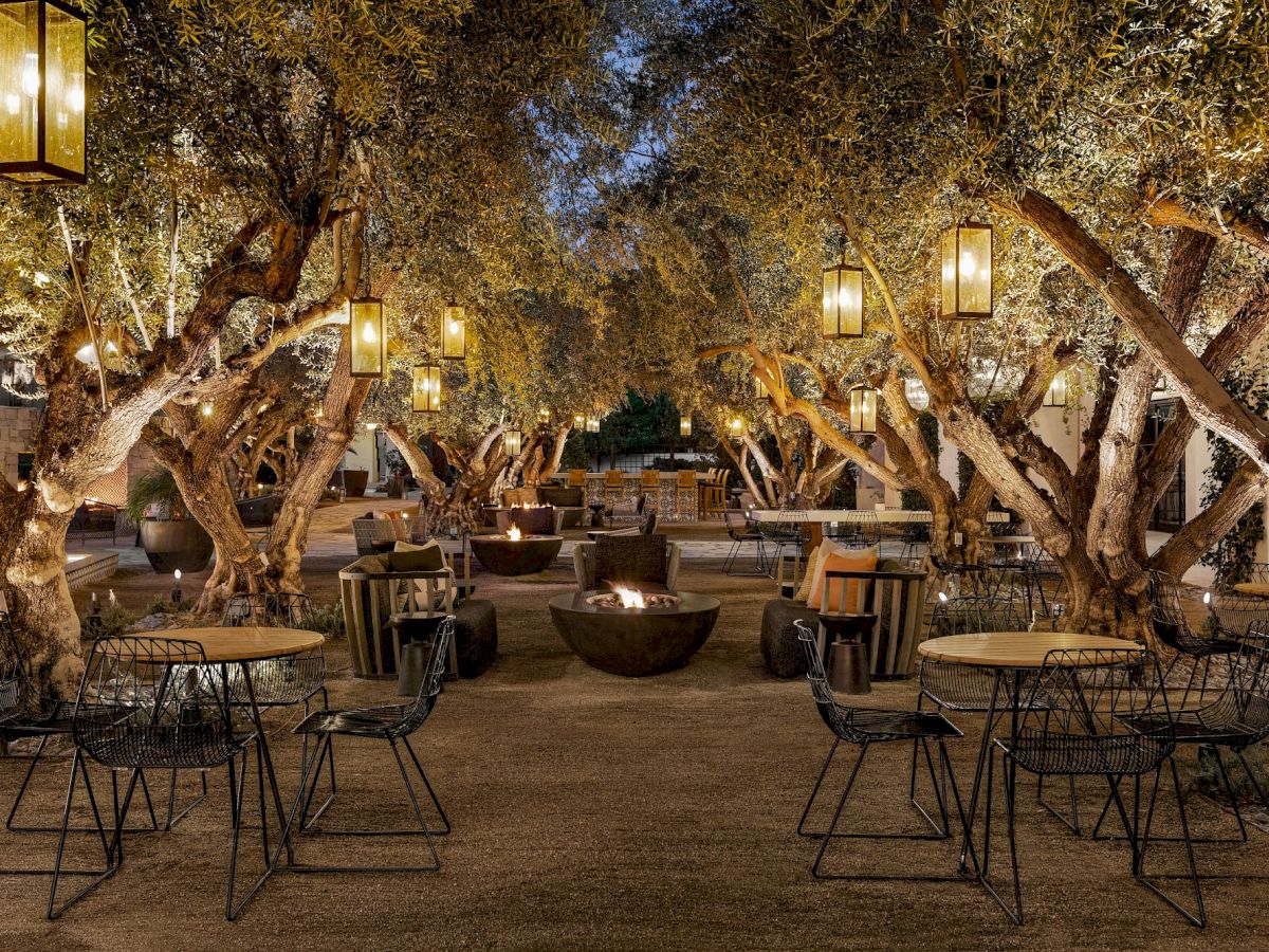 Evening dining on the Olive Grove patio at Grapefruit Basil